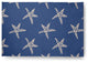 Starfish Nautical & Coastal Chenille Area Rug, Nautical Navy, 4'x6'