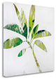 "Tropical Landscape IV" By Brenda K. Bredvik, Giclee on Gallery Wrap Canvas