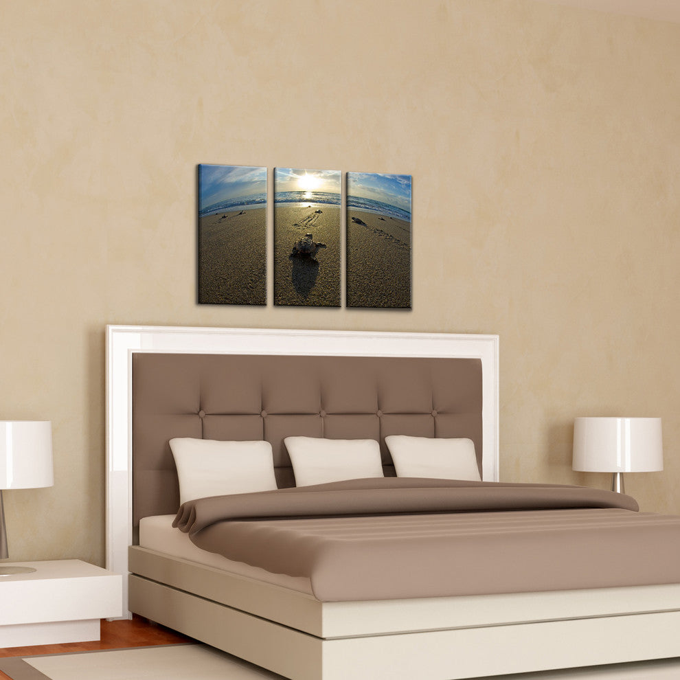 Ready2hangart Christopher Doherty Photography 'Loggerhead ' 3-PC Canvas Art Set