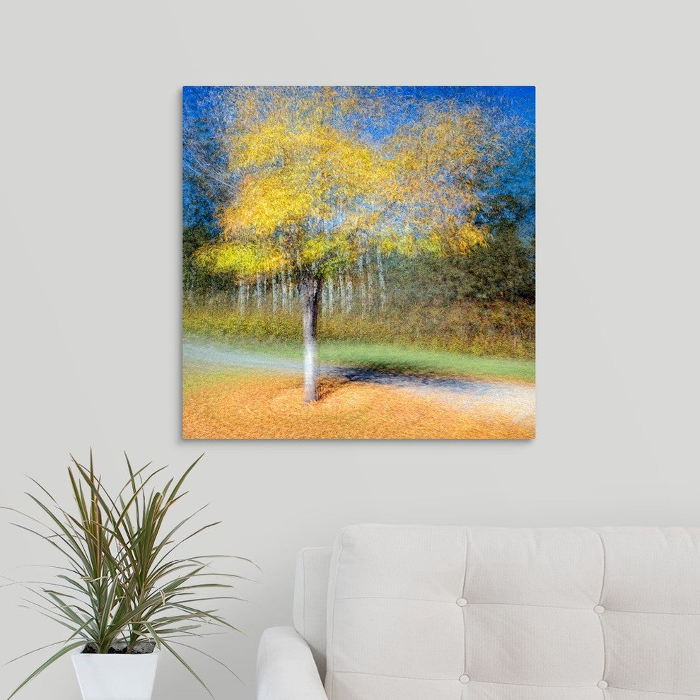 "In The Round" Wrapped Canvas Art Print, 24"x24"x1.5"