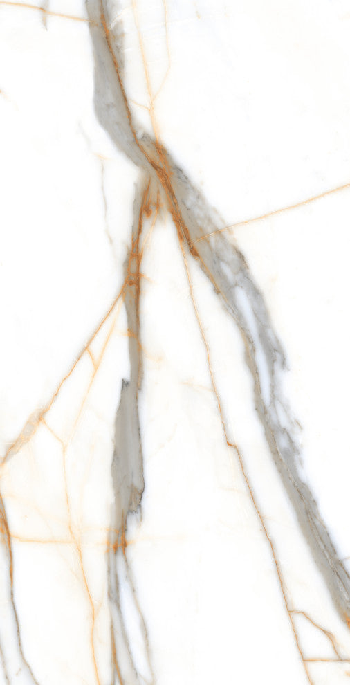 Calacatta Gold Porcelain Marble Look Matte Wall and Floor Tile, 24x48