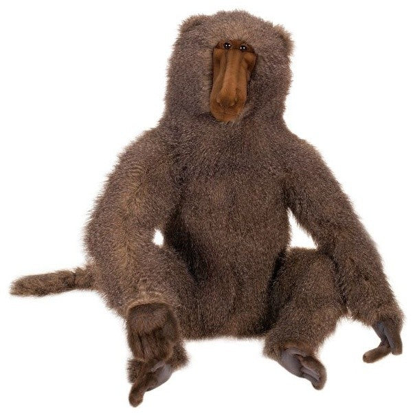 Baboon, Large Adult
