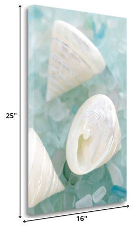 4" White Snail Shell and Blue Seaglass Giclee Wrap Canvas Wall Art