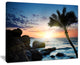 "Lonely Palm Tree On Rocky Beach" Modern Seashore Canvas Art, 20"x12"