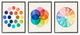Primary Color Tones Blended Hue Chart Wheel Diagram, 3pc, each 16 x 20