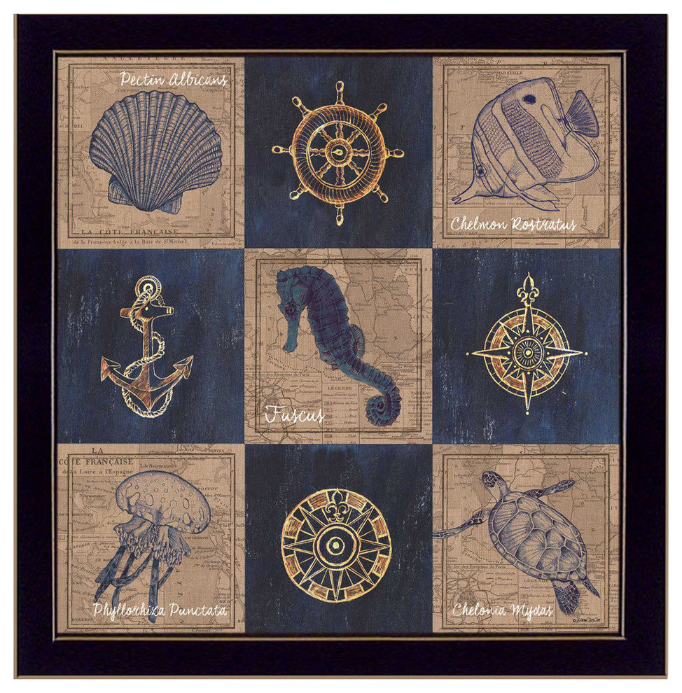 "Coastal Collage II" By Debbie DeWitt, Printed Wall Art, Black Frame