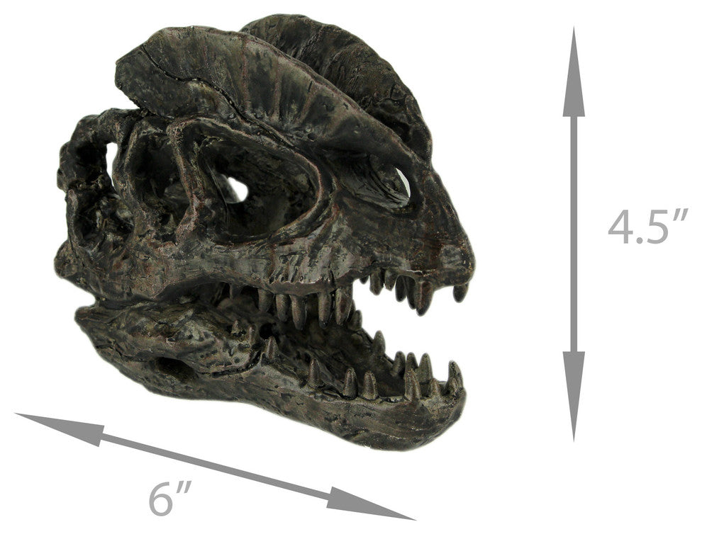 Dilophosaurus Dinosaur Head Fossil Statue Small