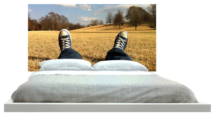 "Converse" Headboard