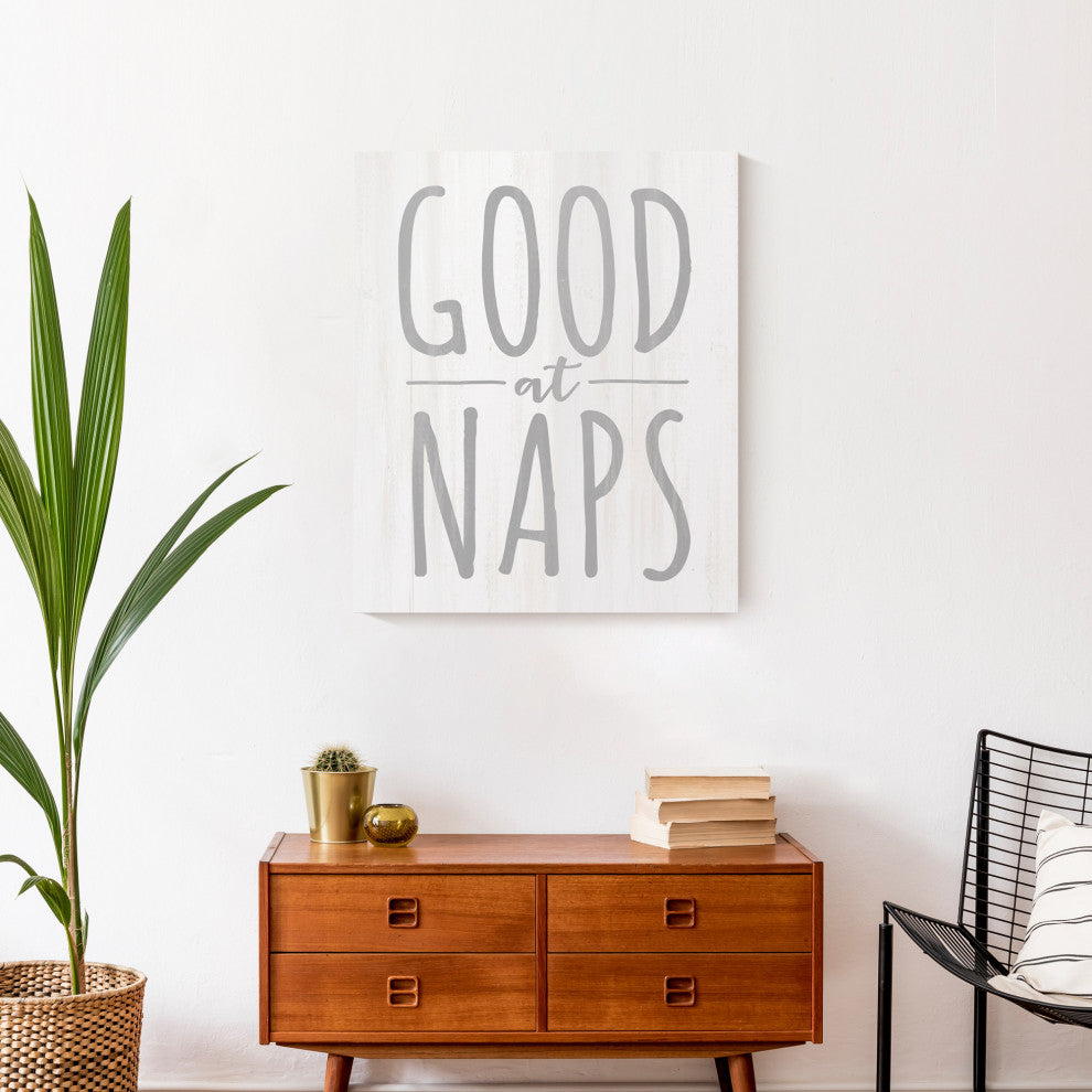 Good At Naps 20x24 Canvas Wall Art
