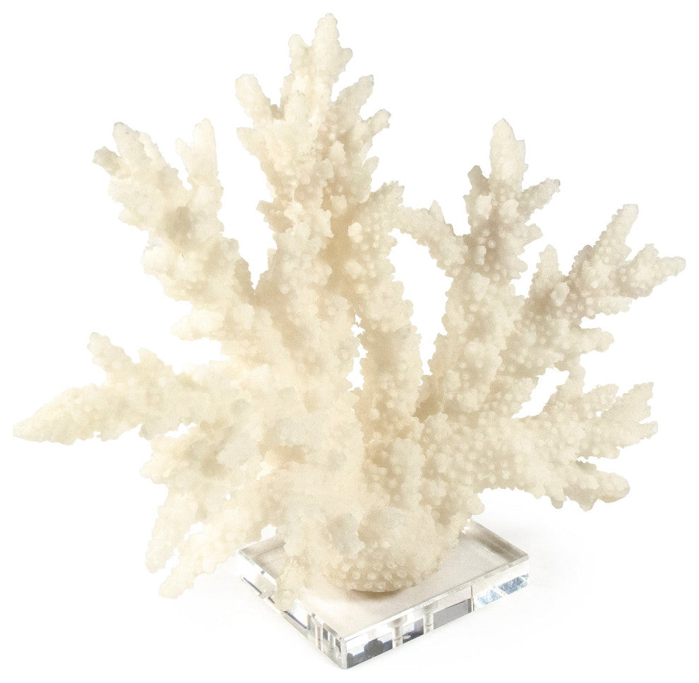 White Coral on Acrylic Base