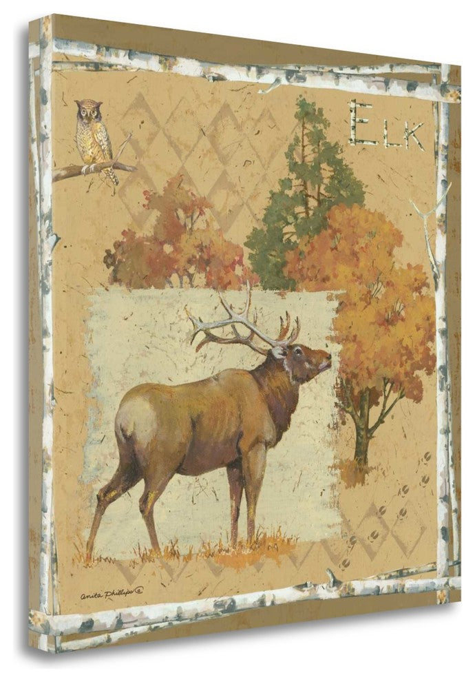 "Elk" By Anita Phillips, Giclee Print on Gallery Wrap Canvas, Ready to Hang