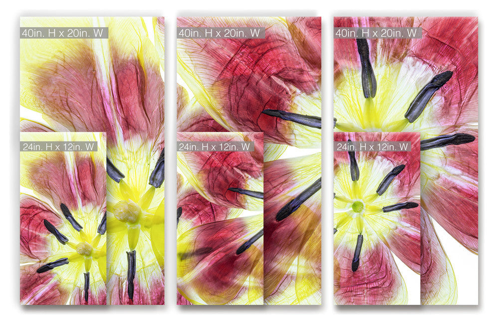 Ready2HangArt 'Tulips' 3-Piece Canvas Wall Decor Set, 60"x40"