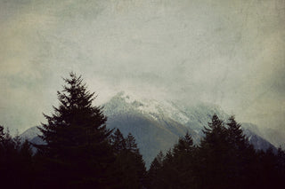 "Brave the Storm" Painting Print on Wrapped Canvas