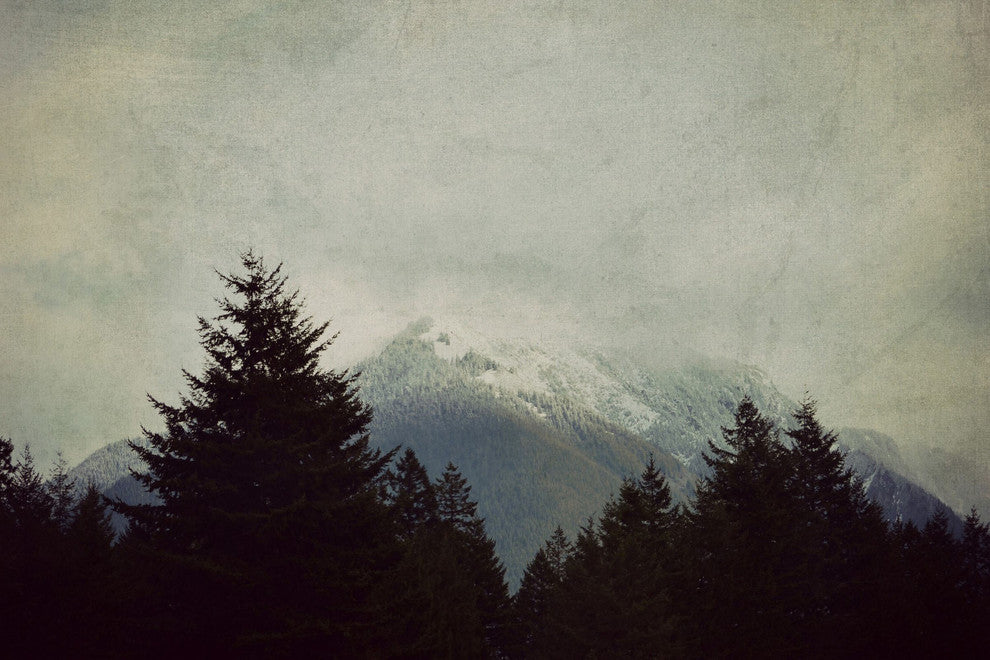 "Brave the Storm" Painting Print on Wrapped Canvas