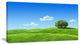 Calm Meadow with Single Tree, Landscape Canvas Art Print, 32"x16"