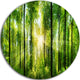 Forest With Rays Of Sun Panorama, Landscape Disc Metal Wall Art, 36"