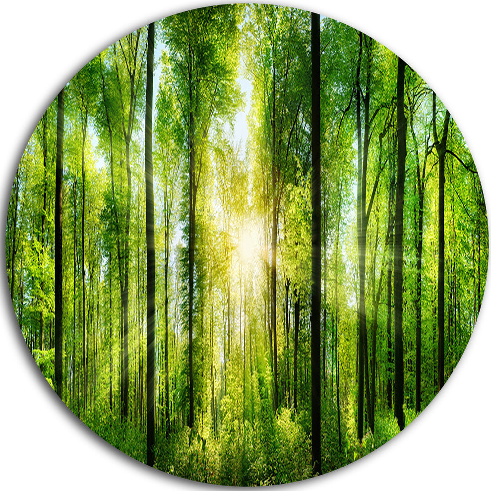 Forest With Rays Of Sun Panorama, Landscape Disc Metal Wall Art, 36"