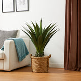 3.25' Faux Agave Plant in Pot
