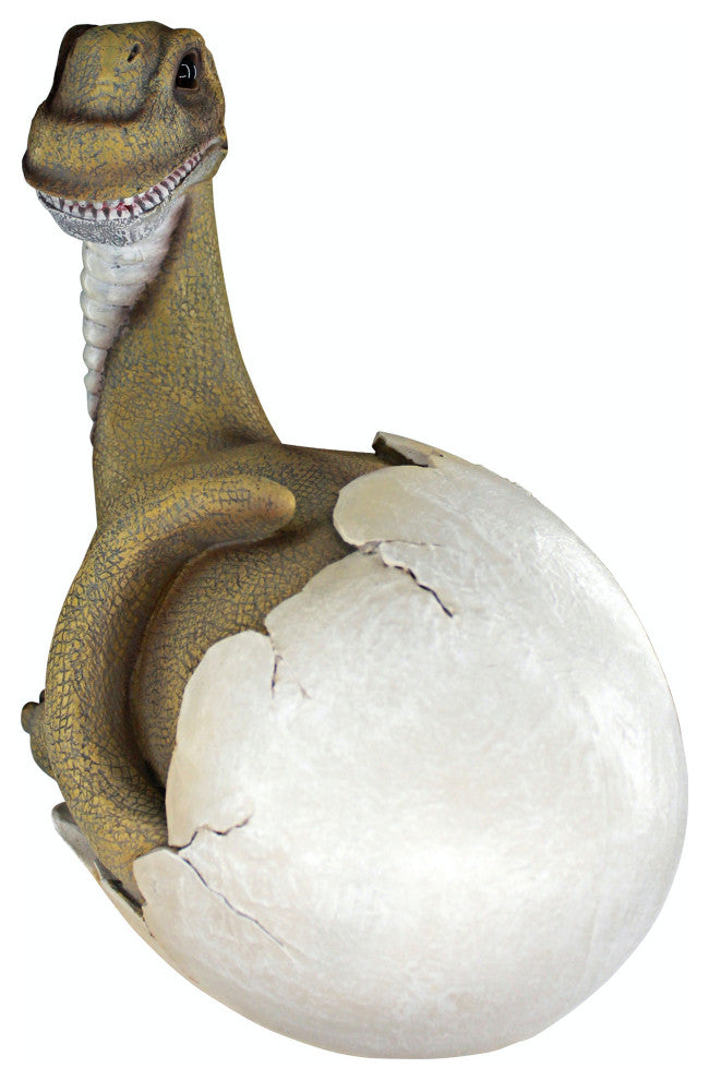 Baby Brachiosaurus Dino Egg Statue