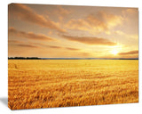 Large Field under Cloudy Sky, Extra Large Landscape Canvas Art, 20"x12"