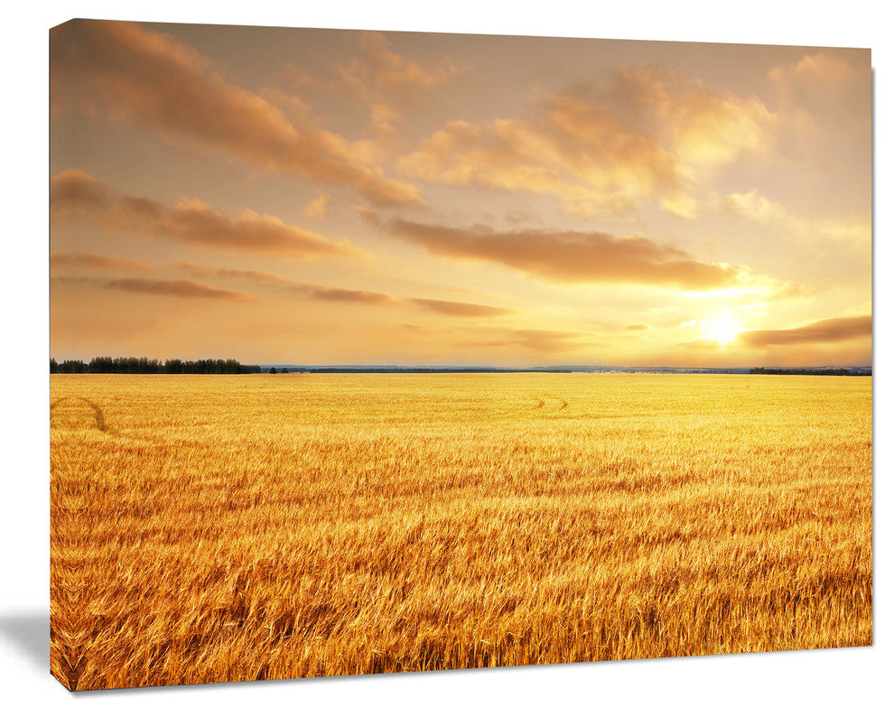 Large Field under Cloudy Sky, Extra Large Landscape Canvas Art, 20"x12"