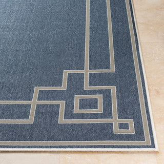 Alfresco Transitional Charcoal, Taupe Area Rug, 2'3"x11'9" Runner
