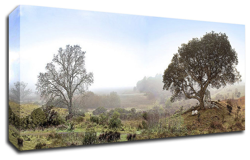 Sonoma Oak Trees No. 1 by Alan Blaustein, Print on Canvas, 36" x 12"