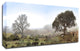 Sonoma Oak Trees No. 1 by Alan Blaustein, Print on Canvas, 36" x 12"