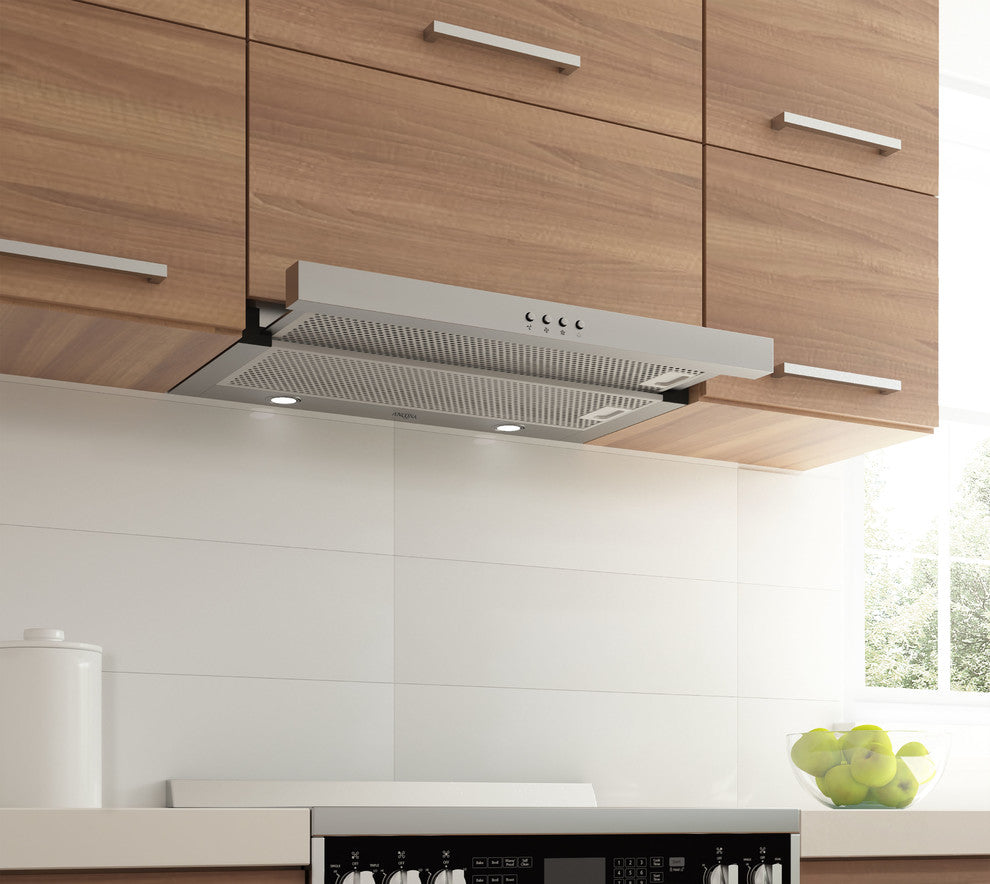 Forte Slide-out Stainless Steel Range Hood, 30"