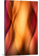 "Woman " Wrapped Canvas Art Print, 24"x36"x1.5"
