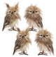 Owl Decor, 4-Piece Set