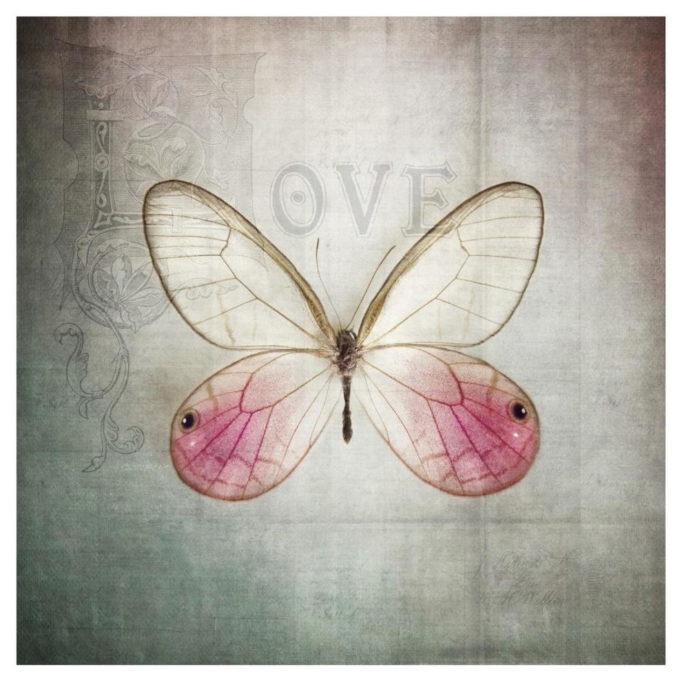 "French Butterfly I" Digital Paper Print by Debra Van Swearingen, 26"x26"