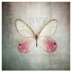 "French Butterfly I" Digital Paper Print by Debra Van Swearingen, 26"x26"
