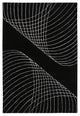 Int Contemporary Area Rug