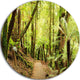 Rainforest Panorama Landscape, Photo Round Wall Art, 11"