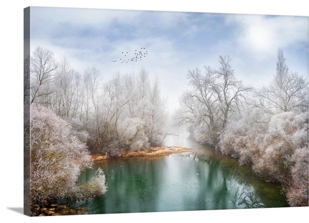 "White Paradise" Wrapped Canvas Art Print, 48"x32"x1.5"