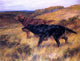 Thomas Blinks Two Pointers in a Landscape, 21"x28" Wall Decal