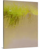 "Breeze Amidst the Reeds" Wrapped Canvas Art Print, 16"x20"x1.5"