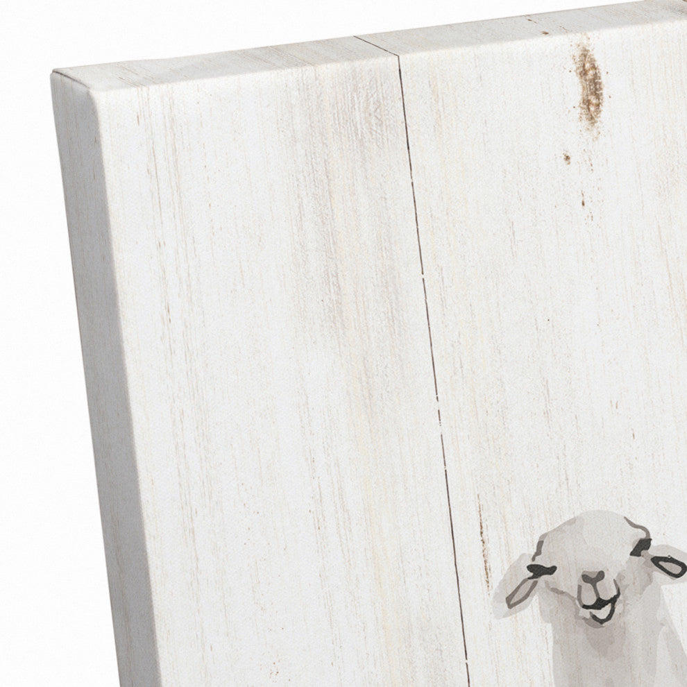 All The Llamas 16x16 Canvas Wall Art