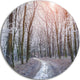 Misty Trail In Autumn Forest, Landscape Photo Round Metal Wall Art, 11"