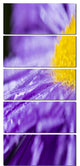 "Large Violet Flower Petal Close Up" Flower Wall Art", 5 Panels, 28"x60"