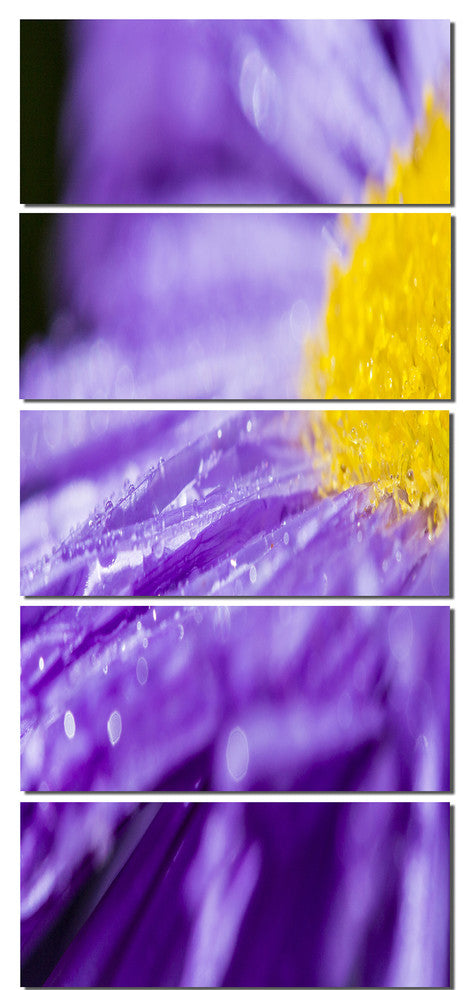 "Large Violet Flower Petal Close Up" Flower Wall Art", 5 Panels, 28"x60"