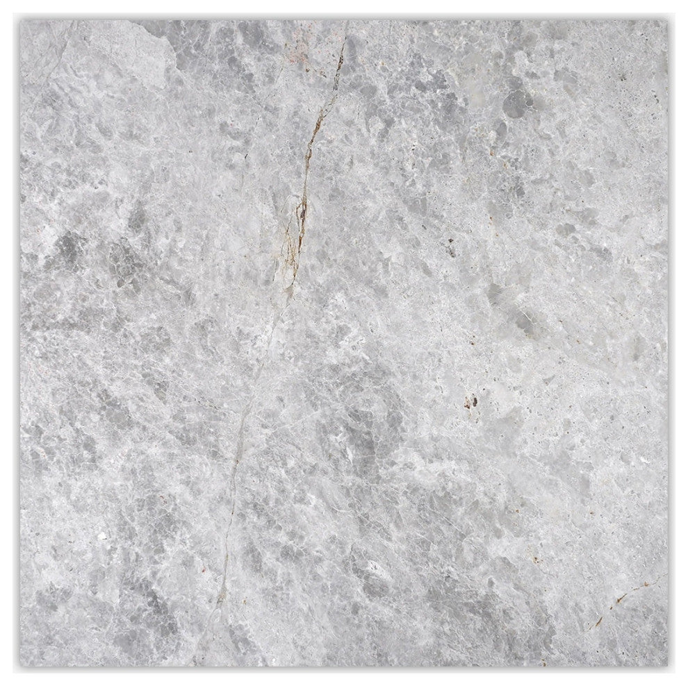 Silver Gray Light Polished 24x24 Marble Tile