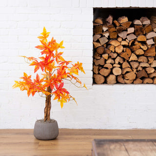 Tree displayed in a home setting; entire product visible; lifestyle context.