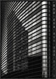 "Filled Lines, Reflected Balconies"  by Yvette Depaepe, 16x23"