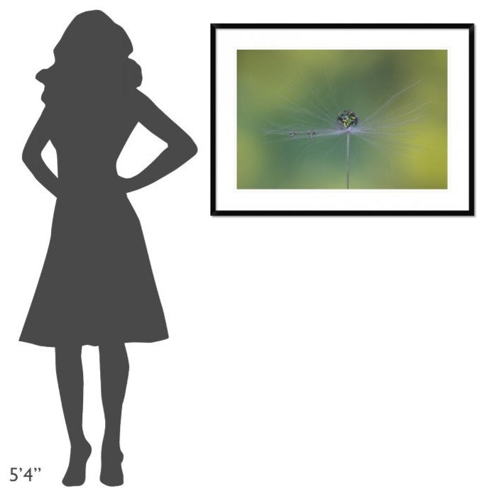 "Magic Bunch" Framed Digital Print by Bertrand Kulik, 38"x28"