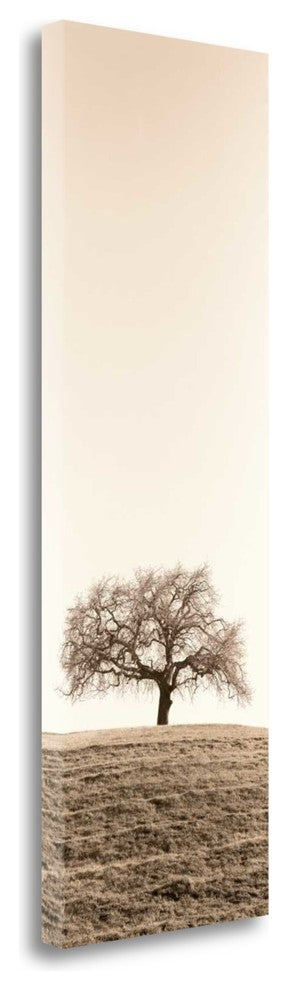 "Lone Oak Tree" By Alan Blaustein, Giclee Print on Gallery Wrap Canvas