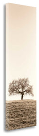 "Lone Oak Tree" By Alan Blaustein, Giclee Print on Gallery Wrap Canvas