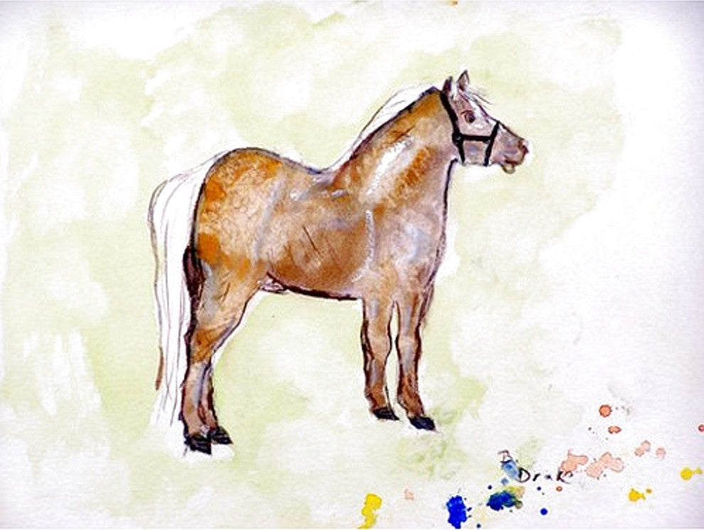Shetland Pony Kitchen Towel - Two Sets of Two (4 Total)