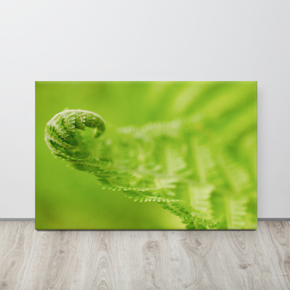 Fern Curl Botanical, Nature Photography Canvas Wall Art Print, 24" X 36"